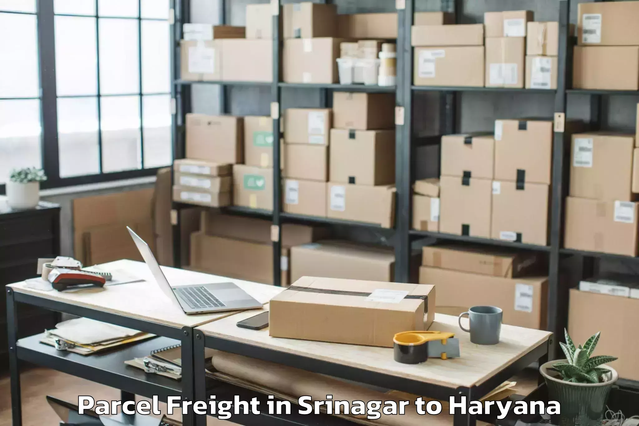 Top Srinagar to Srm University Haryana Sonipat Parcel Freight Available